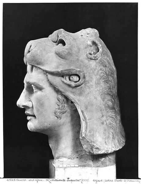 Mithradates VI (132-63 BC) Eupator, King of Pontus (marble) (b  /  w photo) (see also 159138)