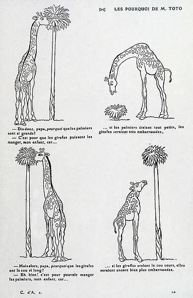 Why from Mr. Toto: Why the palm tree is so big and why the giraffe has such a long neck