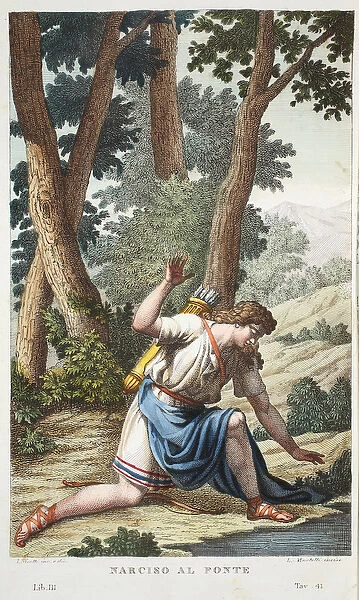 Narcissus into a flower or Narciso al Fonte, Book III, illustration from Ovid