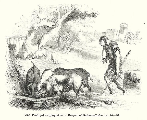 The Prodigal employed as a Keeper of Swine, Luke xv, 14-16 (engraving)
