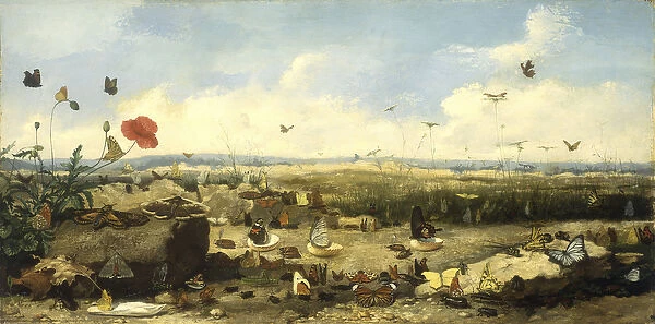The Race of the Butterflies, 1872 (oil on panel)