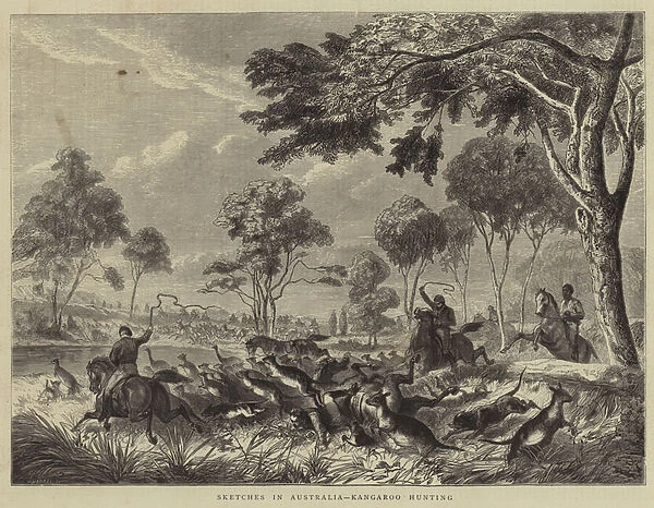 Sketches in Australia, Kangaroo Hunting (engraving)