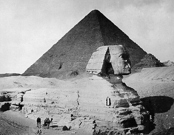 The Sphinx and the Pyramid of Cheops - The Great Pyramid, c. 1904-05 (b  /  w photo)