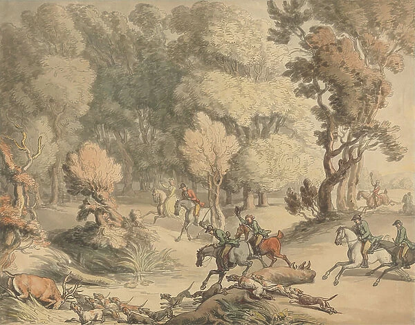 Stag at Bay - Scene near Taplow, Berks, c. 1795-1801 (pen, ink, w / c with touches of bodycolour on paper)