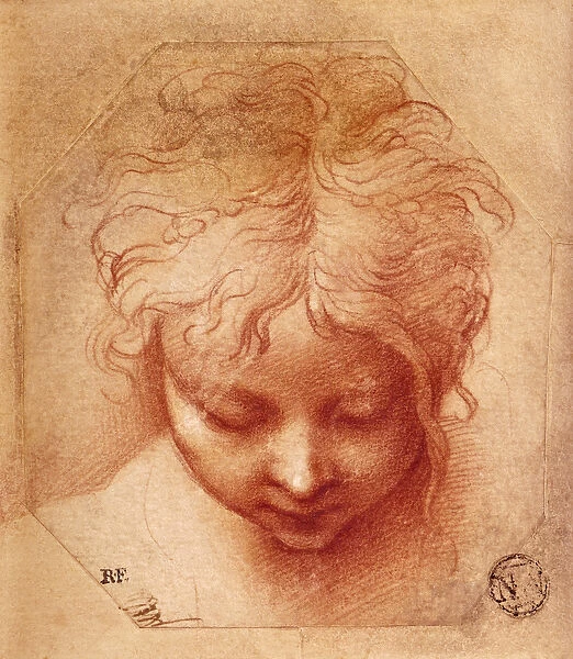 Study of a Head (red chalk on paper)