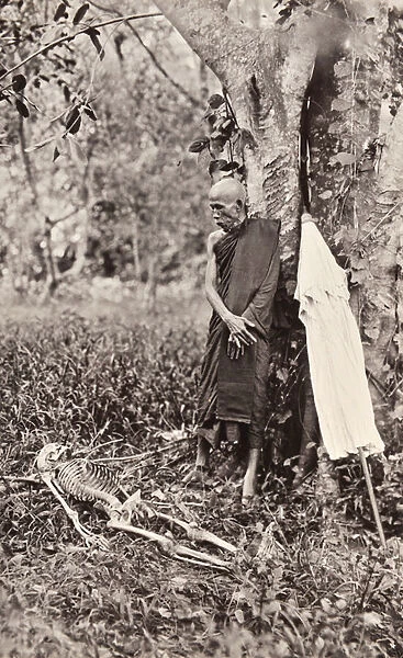 Symbolic Photograph of a Monk Contemplating a Skeleton, Siam, c. 1890 (b  /  w photo)