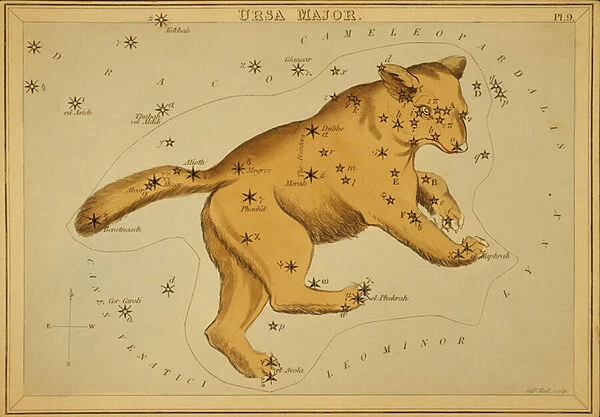 Ursa Major, Illustration from Uranias Mirror, 1825 (etching)