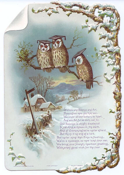 Victorian greeting card of three owls perched on a branch wearing graduation motar hats