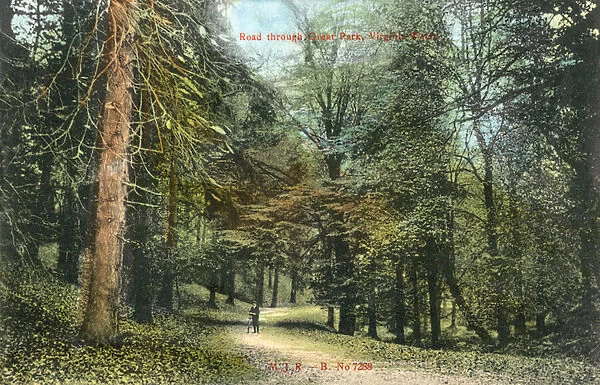 Windsor Great Park, Virginia Water (colour photo)