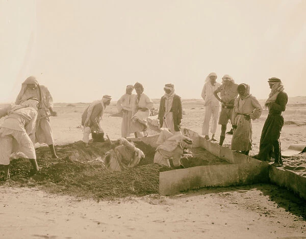 Digging locust traps 1925 Middle East