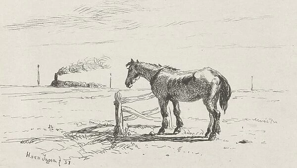 Horse in a pasture, Henry van Ingen, Joseph Hartogensis, 1857
