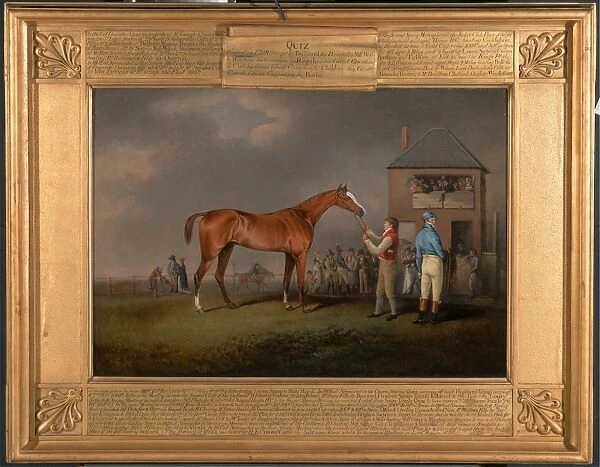 Quiz, After His Last Race at Newmarket Portrait of `Quiz, the property of Lord Rous