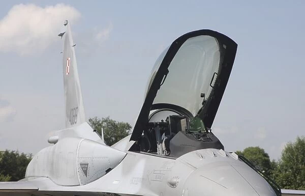 Close-up of the cockpit and conformal fuel tanks on a Polish F-16C Block 52