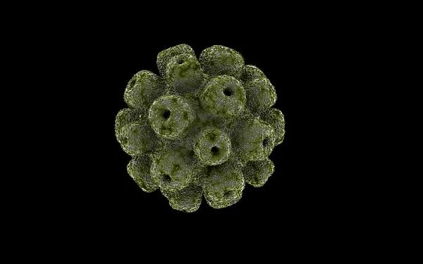 Conceptual image of polyomavirus