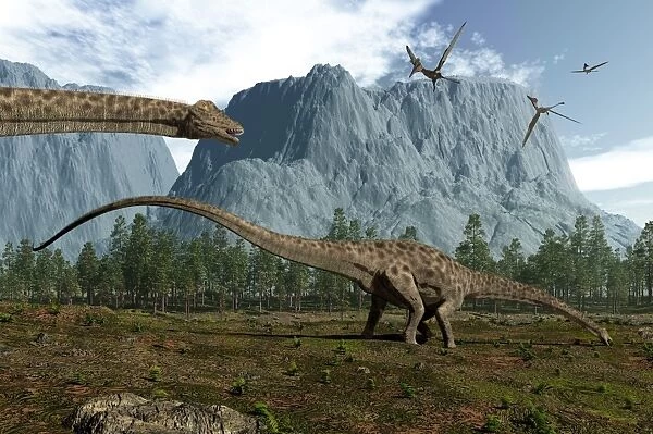 Diplodocus dinosaurs graze while pterodactyls fly overhead