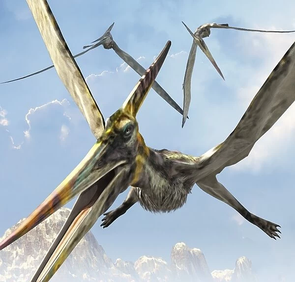 Flying pterodactyls searching for food