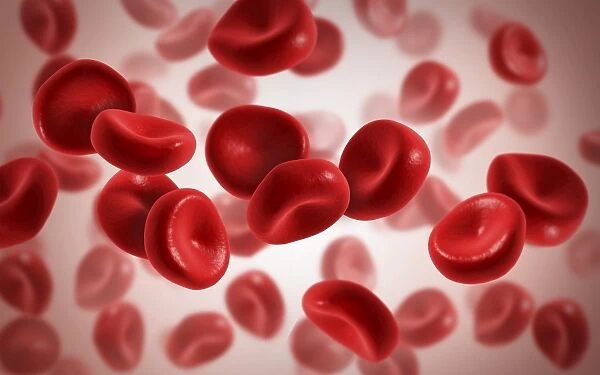 Microscopic view of blood cells