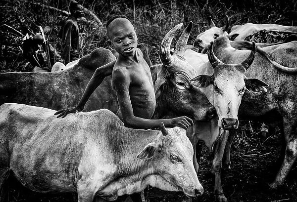 Surma tribe people taking care of the cattle-I Ethiopia