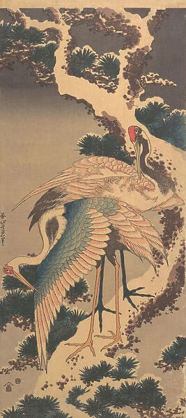 Cranes on Branch of Snow-covered Pine, late 1820s. Creator: Hokusai