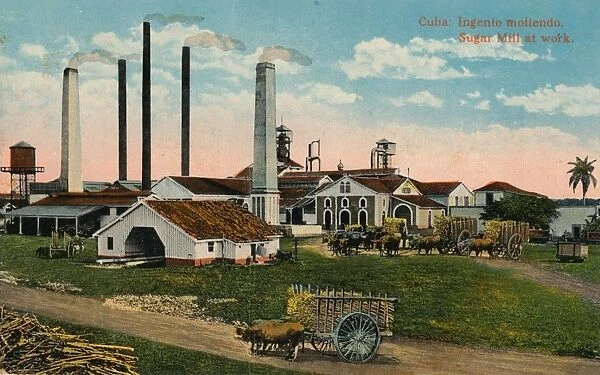 Cuba: Ingenio moliendo. Sugar Mill at work, c1900