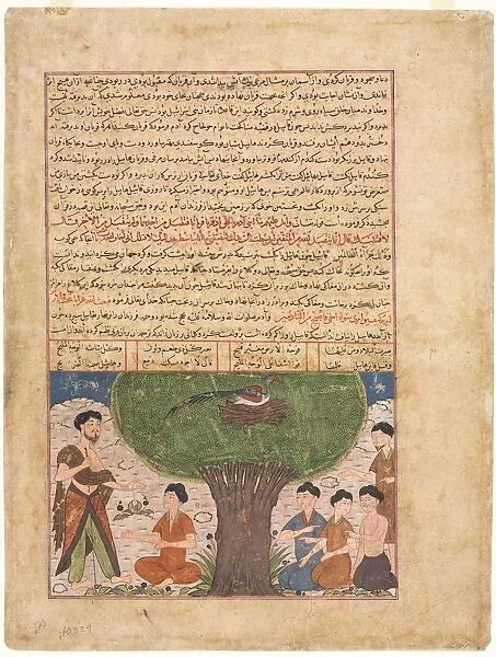 Text Page, Persian Prose (recto); The Story of Adam peace upon him, his Sons and Progeny (verso)