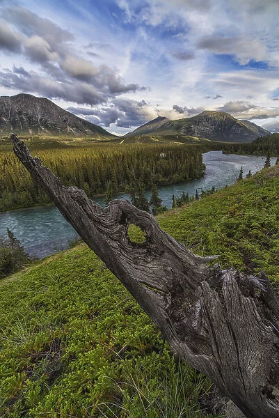 The Takhini River Flows Throigh A Valley Near Kusawa Lake, With An Old Tree Stump On The Hillside At Sunset; Yukon