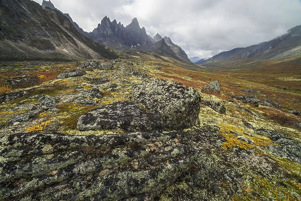 The Tombstone Valley In Autumn Colours With Tombstone Mountain Rising Above The Tundra In Tombstone Territorial Park; Yukon, Canada