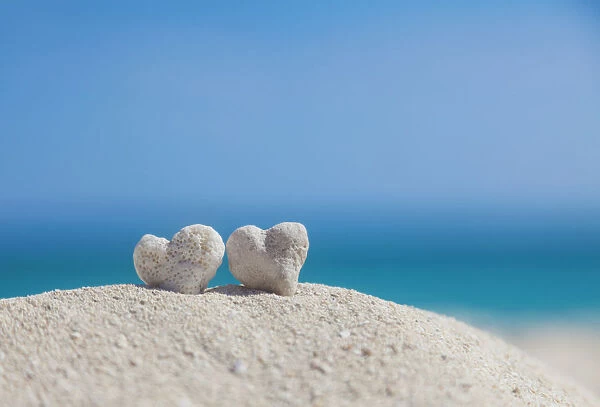 Two White Heart Shaped Coral Rocks Placed Together On Sand At The Beach; Honolulu, Oahu, Hawaii, United States Of America