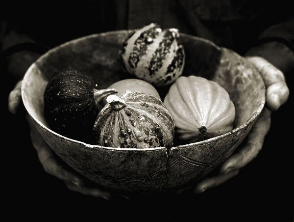 AKC_0088. Cucurbita pepo. Gourd. Black & white. Black b / g