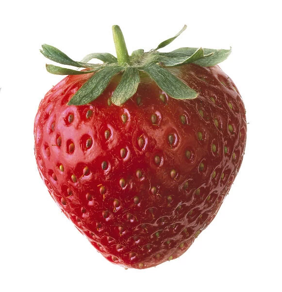 CS_3064. Fragaria - variety not identified. Strawberry. Red subject. White b / g