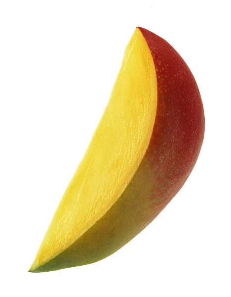 CS_3089. Mangifera indica. Mango. Mixed colours subject. White b / g