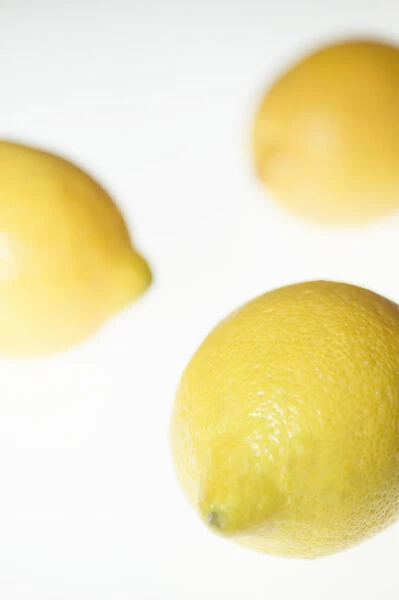 MH_0003. Citrus limon. Lemon. Yellow subject. White b / g