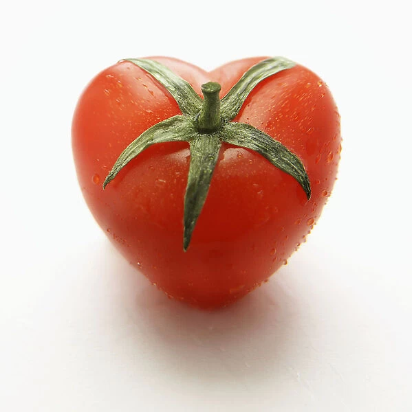Tomato, Lycopersicon esculentum