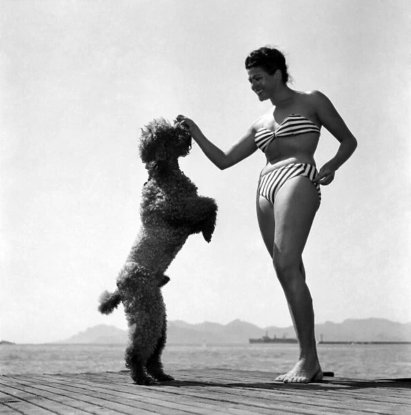 Actress Charlotte Laing seen here with her poodle dog. D3118-023