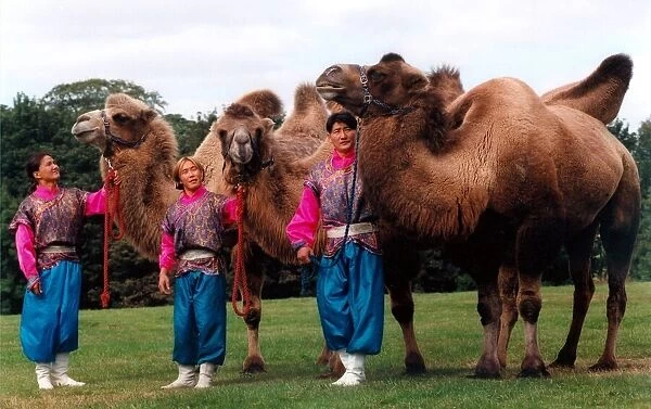 Harlequin Circus performers. Left to right; Tugs, Dave and Zula with camels gorby