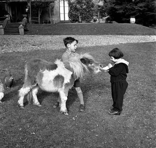 Sally and George Stephanson with Rosetta the miniature pony. March 1953 D1098