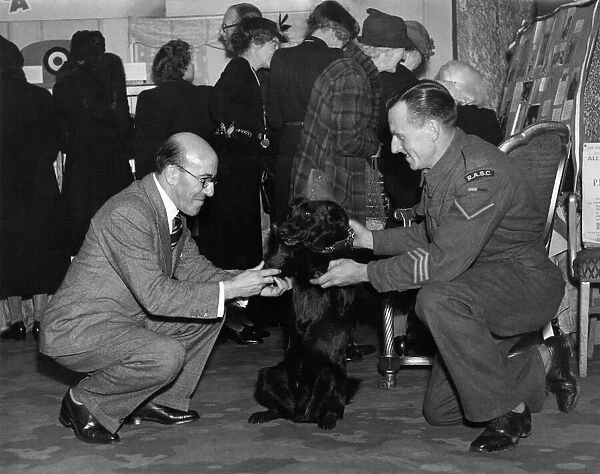 World War II. Mascots. Dogs. Mr. Robertson Hare, the comedian, who is looking after Mr