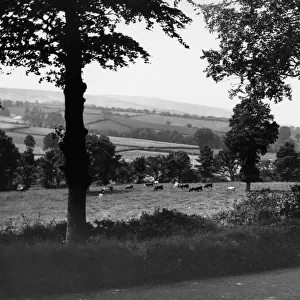Kilve, Somerset, c. 1920s