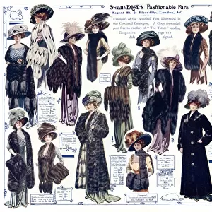 Advert for Swan & Edgar winter fashions 1909
