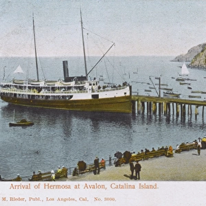 Arrival of Hermosa - Avalon, Catalina Island, California, US