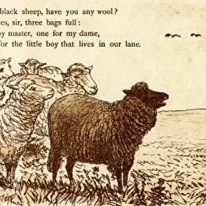 Baa baa black sheep, have you any wool?