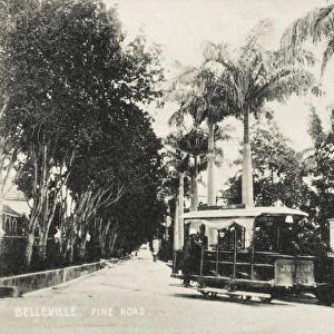 Belleville - Pine Road with Horse Tram