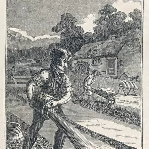 The Bleacher 1827
