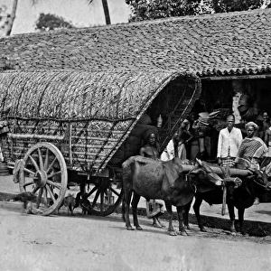 Bullock cart, India