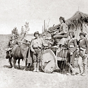 Bullock wagon in the Caucasus, circa 1880s