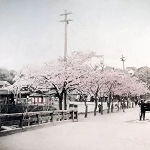 c. 1880s Japan Ushigomi-Mitsuki Tokyo - street