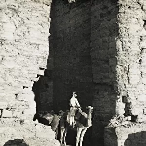 Camel driver at Petra, Jordan