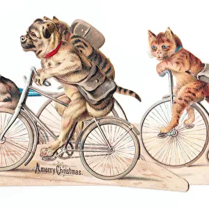 Cats and dogs on bicycles on a cutout Christmas card