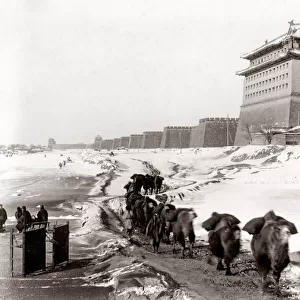 City walls in snow, camels, Peking, Beijing, China c. 1900