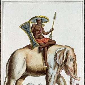 Elephant Rider